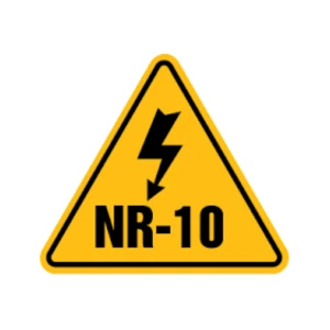 selo-nr-10